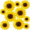 Pack of 10-Sunflower Tissue Paper Pom Poms Décor Yellow Flowers,12" 8" Sunflower (yellow and brown)